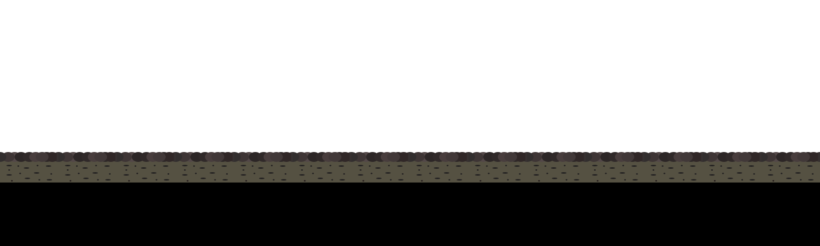 layer 5
