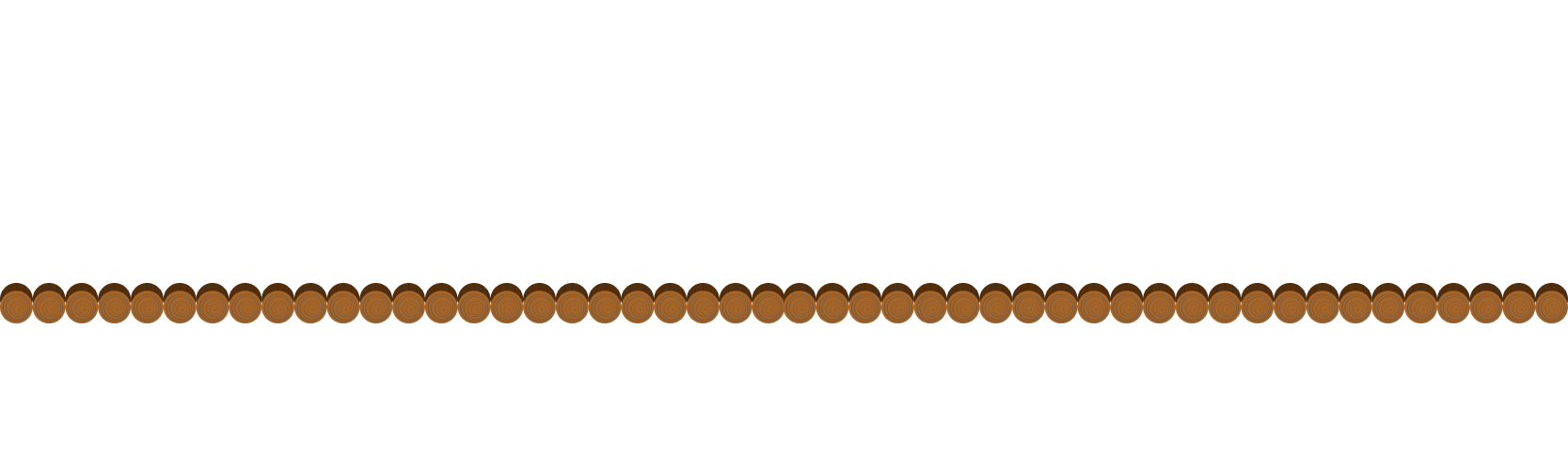 layer 5